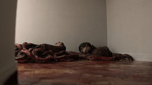 Supernatural screenshot