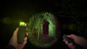 Wychwood Hollow screenshot