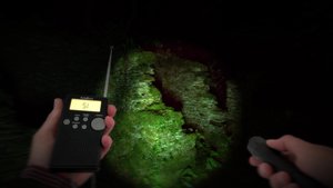 Wychwood Hollow screenshot