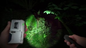 Wychwood Hollow screenshot