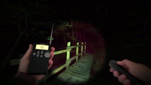 Wychwood Hollow screenshot