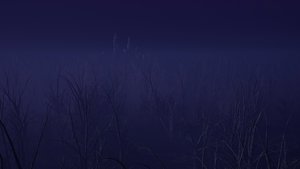 Magurele Mystery screenshot