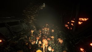 Animal Use Protocol screenshot