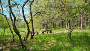 Murder Malady screenshot