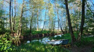 Murder Malady screenshot