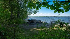 Murder Malady screenshot