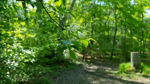 Murder Malady screenshot