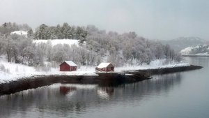 Murder Malady screenshot