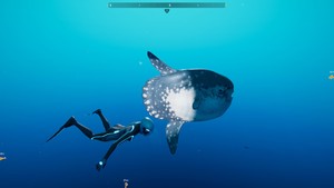 Beyond Blue screenshot