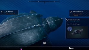 Beyond Blue screenshot