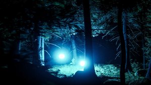 They Are Here – Alien Abduction Horror screenshot