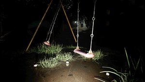 Cursed Digicam screenshot