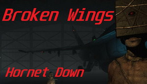 Broken Wings: Hornet Down cover image