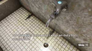 Class 3, Third Grade screenshot