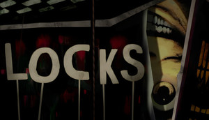 Locks cover image