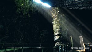 The Fading of Nicole Wilson screenshot