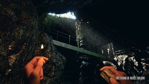 The Fading of Nicole Wilson screenshot