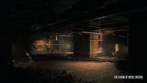 The Fading of Nicole Wilson screenshot