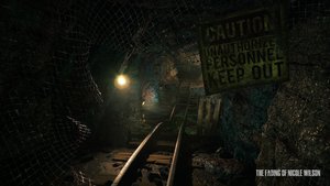 The Fading of Nicole Wilson screenshot