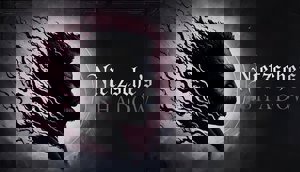 Nietzsche's Shadow cover image