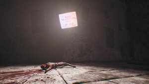 VIDeoPHOBIA screenshot