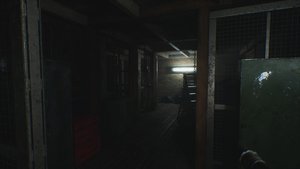 Light in the Woods screenshot