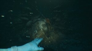 Still Wakes the Deep: Siren's Rest (DLC) screenshot