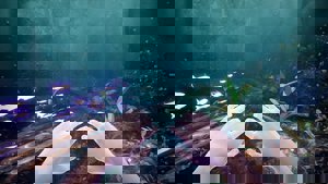 Echoes of Mora screenshot