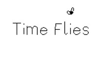 Time Flies