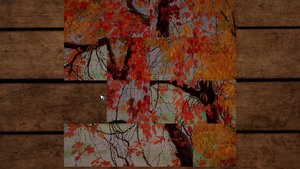 Marcella Moon: The Phantom of Harvest Grove screenshot