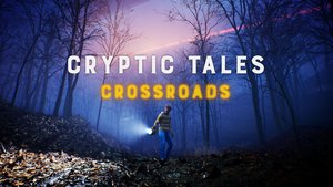 Cryptic Tales: Crossroads cover image