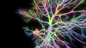 Finding Your Way screenshot