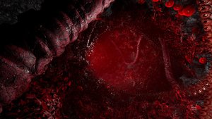 The Green Light screenshot