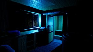 The Green Light screenshot