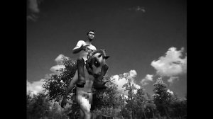 HORSES screenshot