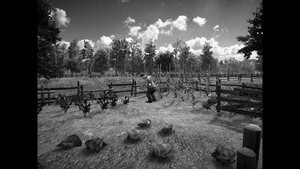 HORSES screenshot