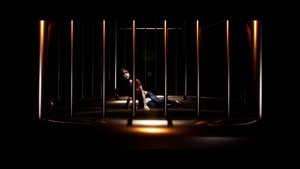 Of Bird and Cage screenshot