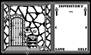Shadowgate PD screenshot