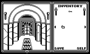 Shadowgate PD screenshot