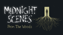 Midnight Scenes: From the Woods