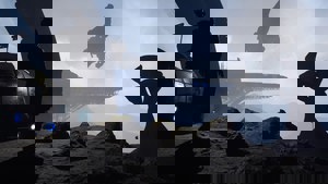 A Whisper in the Twilight: Chapter One screenshot