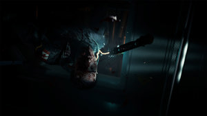 Directive 8020 screenshot