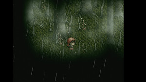 Mucorales screenshot