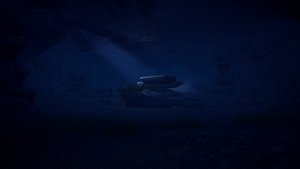 Radiolight screenshot