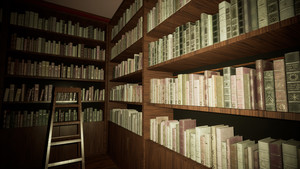 Project Vic screenshot