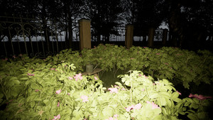 Project Vic screenshot