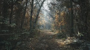 Aurora Hills: Chapter 1 (freeware) screenshot