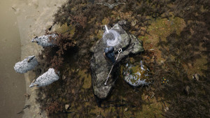 Island of Winds screenshot