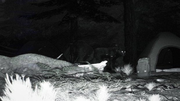 Trailcam ready to roll on Steam