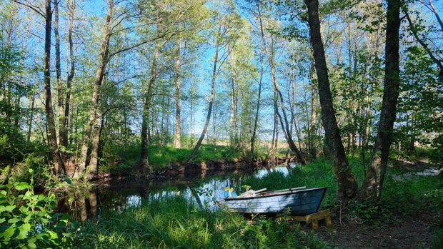 Murder Malady review